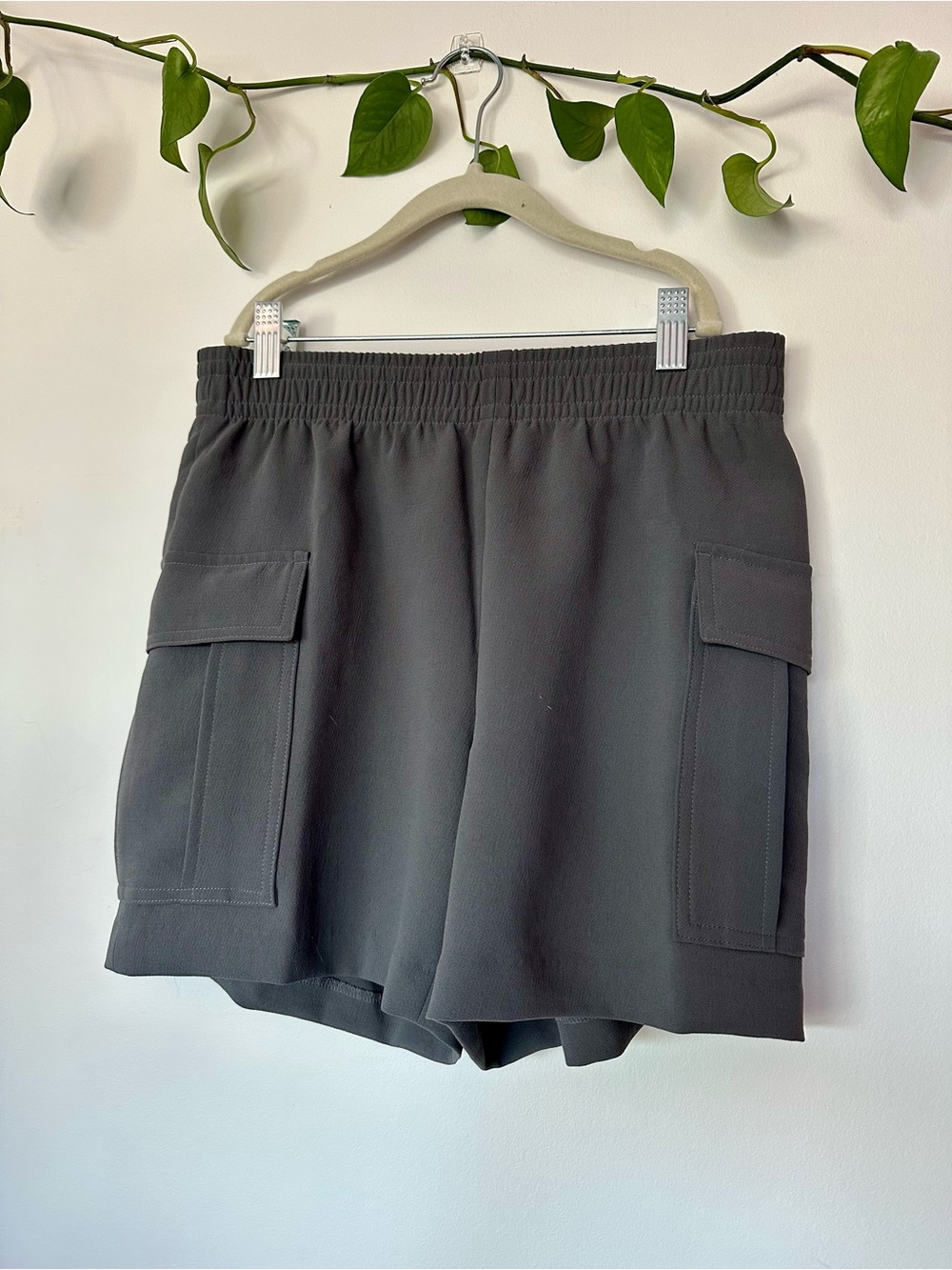 Aritzia | Dressy Cargo Shorts